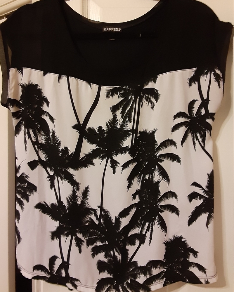 Express semi-sheer blouse
